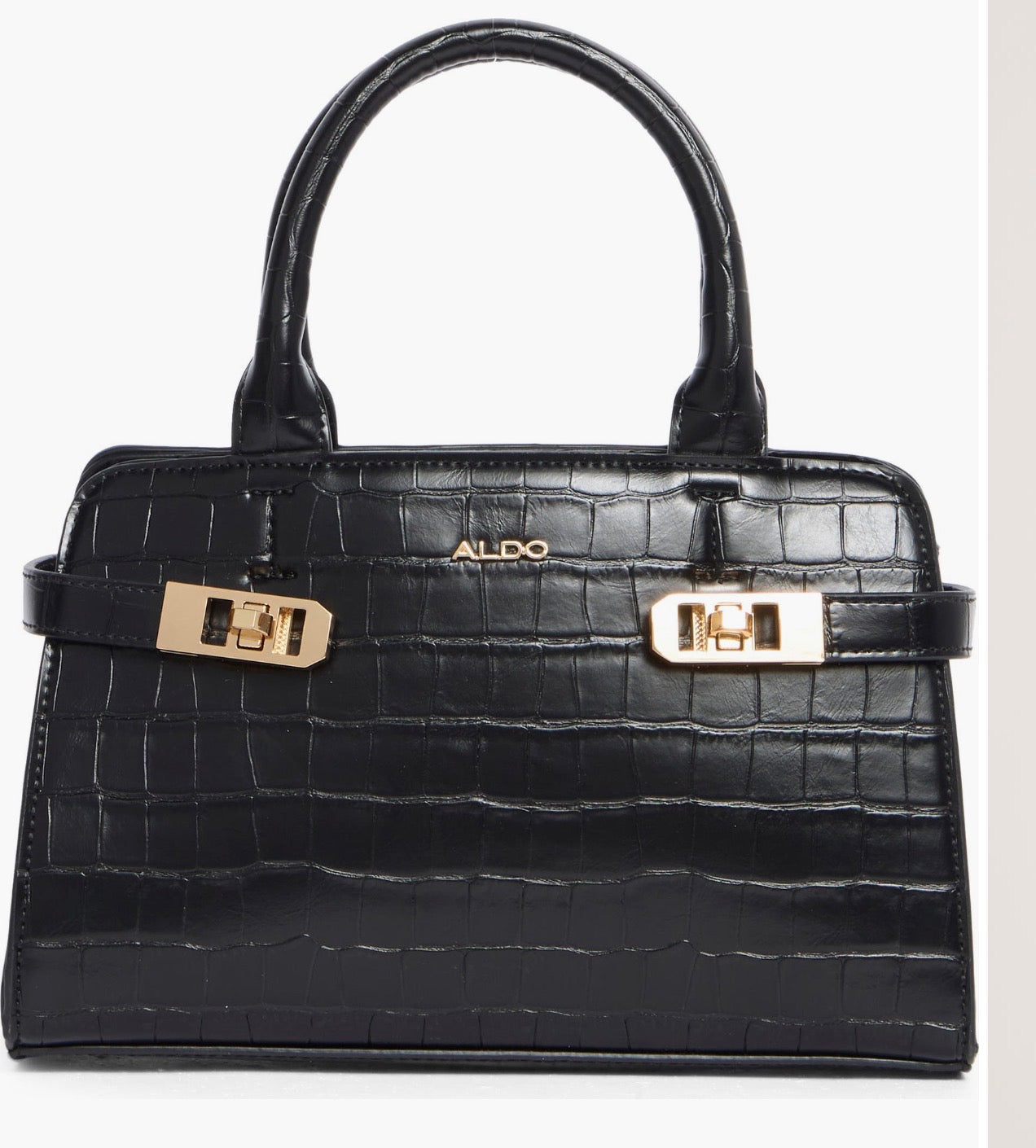 Aldo black bag
